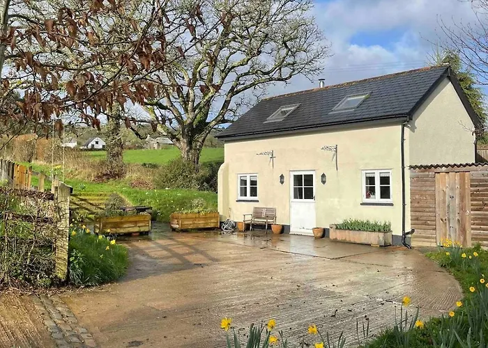 Characterful, Cosy Dartmoor Cottage