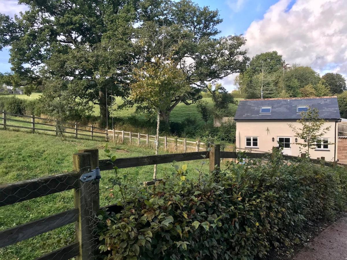 Characterful, Cosy Dartmoor Holiday home