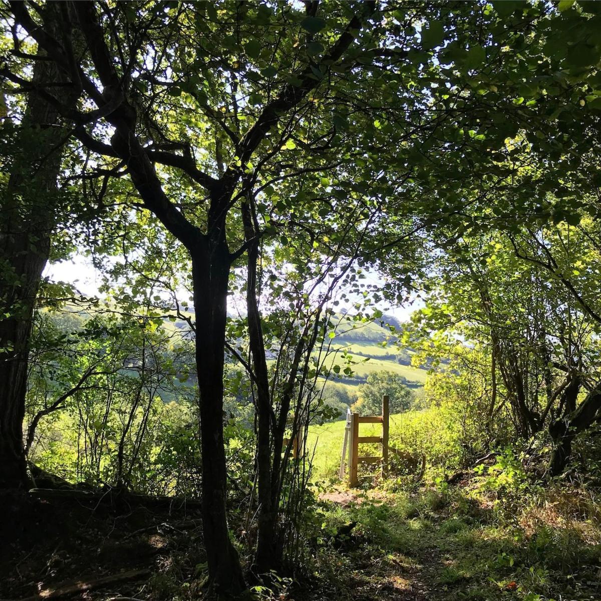 Holiday home Characterful, Cosy Dartmoor Exeter